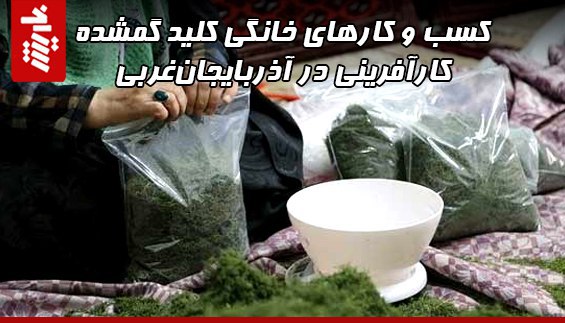 کسب و کارهای خانگی کلید گمشده  کارآفرینی در آذربایجان‌غربی