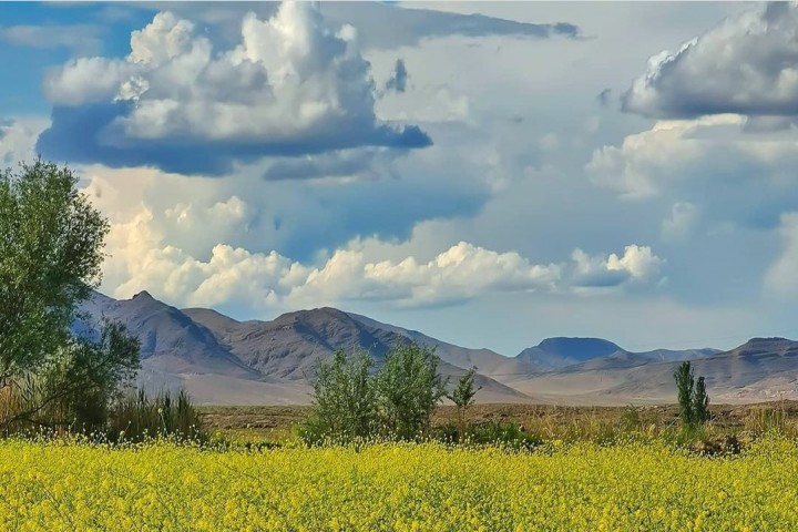 رشد ابر و افزایش نسبی دما در آذربایجان‌غربی