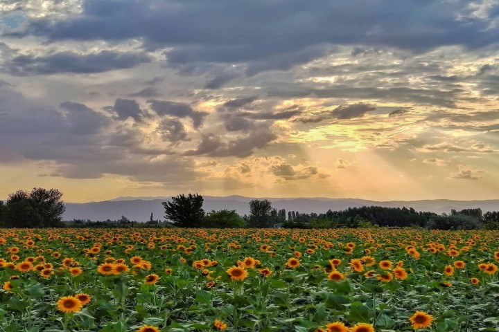 استقرار جو آرام و پایدار در آذربایجان‌غربی