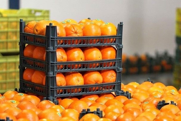 آغاز توزیع کالاهای اساسی در بازارچههای جهاد کشاورزی آذربایجانغربی