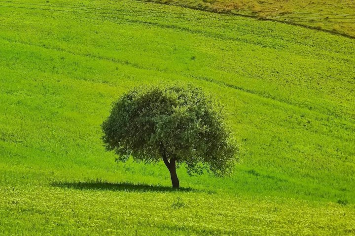 استقرار جو آرام و پایدار در آذربایجان‌غربی