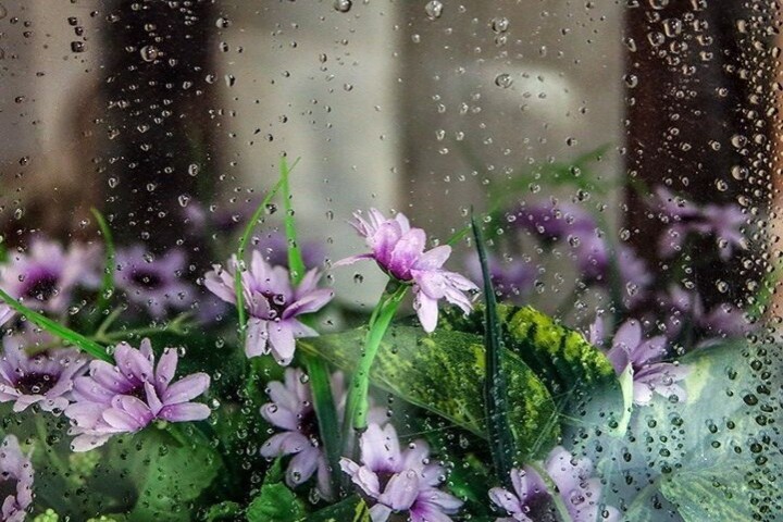 کاهش دمای هوا از روز شنبه در آذربایجانغربی