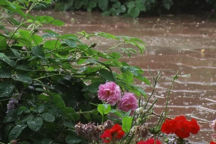 گسترش امواج بارشی در سطح آذربایجان‌غربی