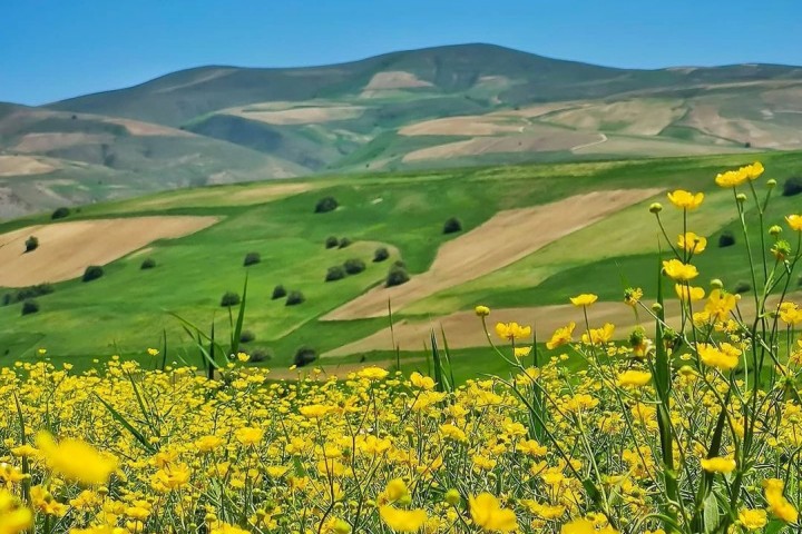 استقرار جو آرام و پایدار در آذربایجان‌غربی