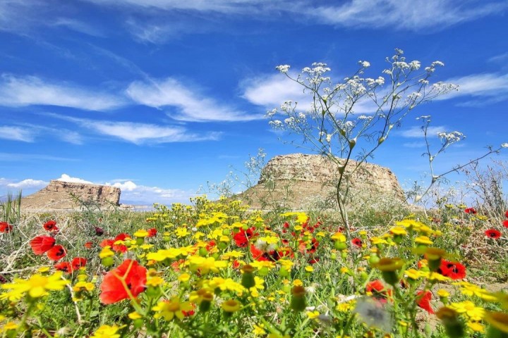 تا اواخر هفته جاری جو استان آرام است