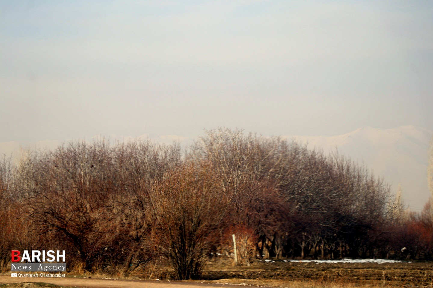 طبیعت زیبای تالاب روستای گلمرز ارومیه