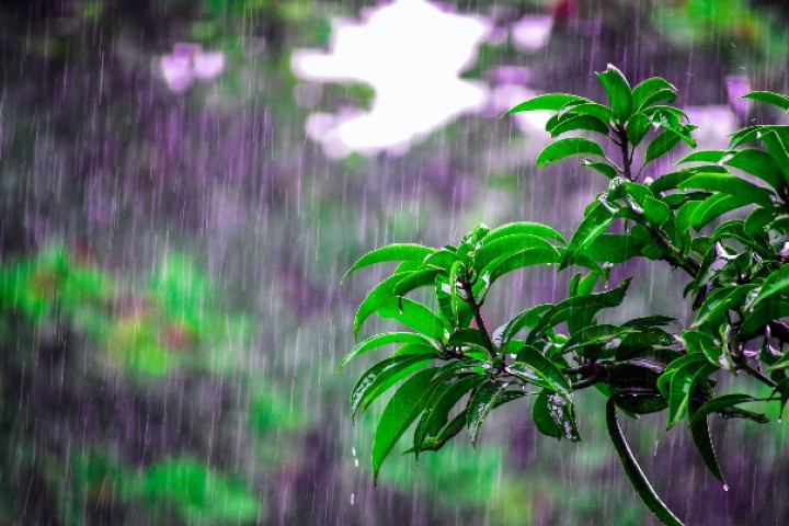 آذربایجان غربی فردا ابری و بارانی است
