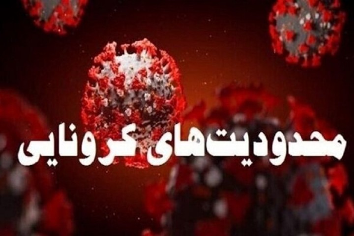 کدام گروه‌های شغلی مجاز به فعالیت هستند؟