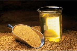 نبود کارخانجات روغن‌کشی، از مهمترین کمبودهای آذربایجان‌غربی در حوزه صنایع تبدیلی و تکمیلی است