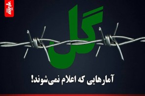 جوانه‌هایی که گل نداده خاکستر می‌شوند/آمارهای که اعلام نمی‌شوند!