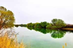 پایداری هوا در سطح استان تا اواخر هفته جاری