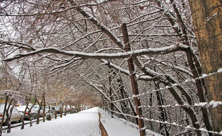 آغاز بارش های شدید در 19 استان از فردا