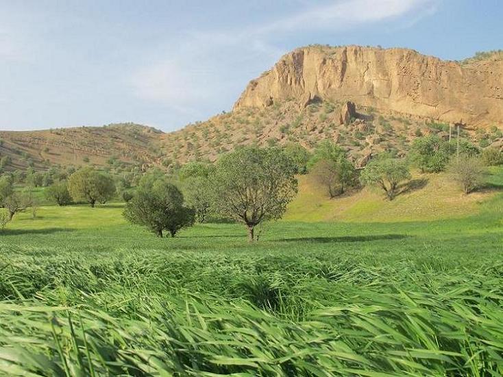 گرمای هوا دیگر قدرت بازگشت به اوج را نخواهد داشت