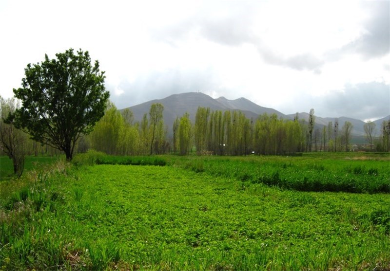 هفته آرام و ساکنی برای استان پیش بینی می شود