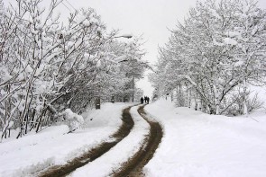 بارش برف و باران در 21 استان تا آخر هفته/ هوا سرد می شود